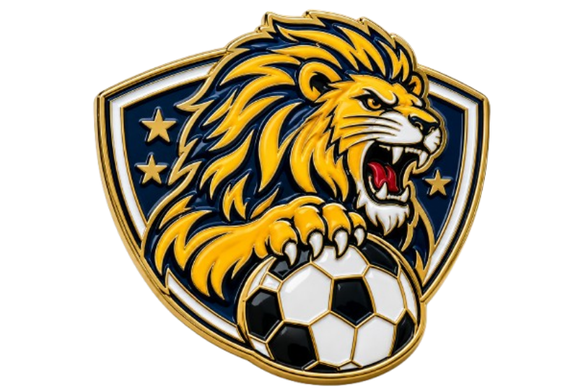 Sports Team Enamel Pins _