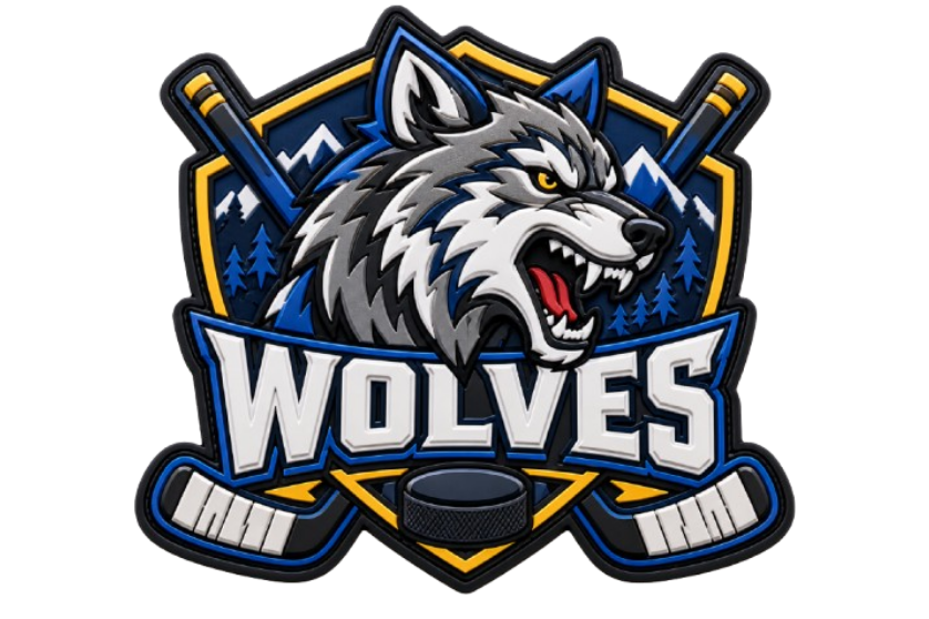 Sports & Team PVC Patches_